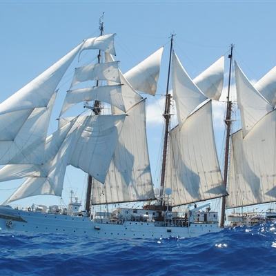 ayx体育在线登录app下载